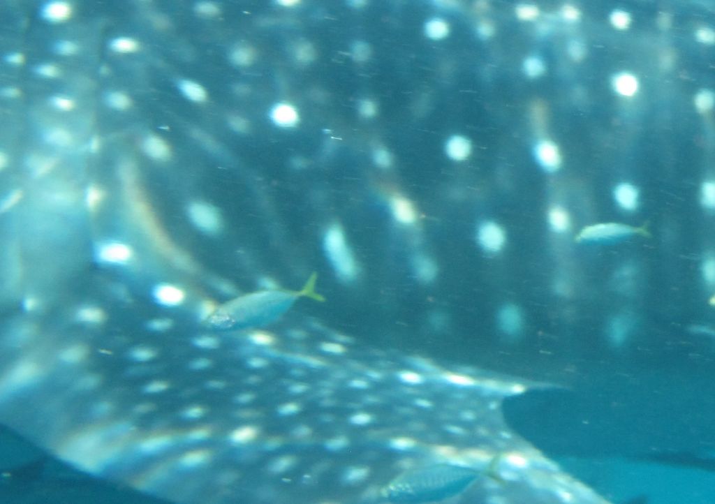 7707d520-830e-4fda-8108-ad517bbba313