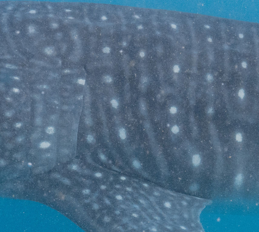 4aa5b0a9-6071-4125-b325-a8a49def3fe1