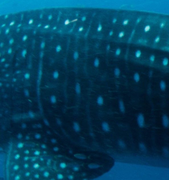 418805df-718f-464b-9b69-6a1bdfeedcf8