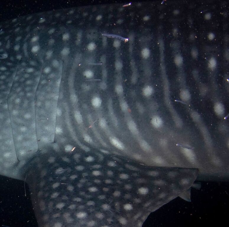 89577b50-86d6-4a44-a740-08ebe6dff25d