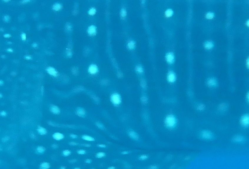 04f34aa4-8c2e-42d5-a60c-61d43c8d0662