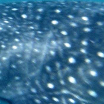 7a9da3d1-1804-456d-97a1-5a684148e2fe