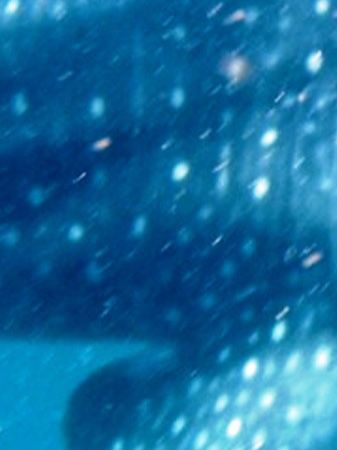 7a9da3d1-1804-456d-97a1-5a684148e2fe