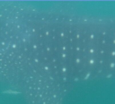 dcf2d147-1b4a-4ef4-9441-823952b68be7