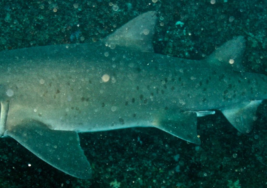 6173cbc3-497f-4a6d-981d-3c1f883ace94