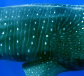 abd4a061-cfeb-4e4b-9225-5f6468b031dc