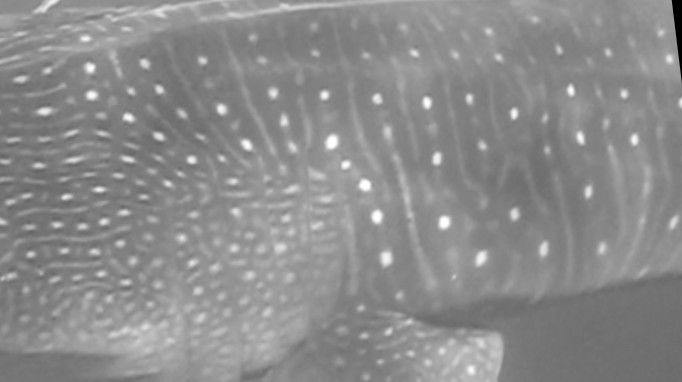 abd4a061-cfeb-4e4b-9225-5f6468b031dc