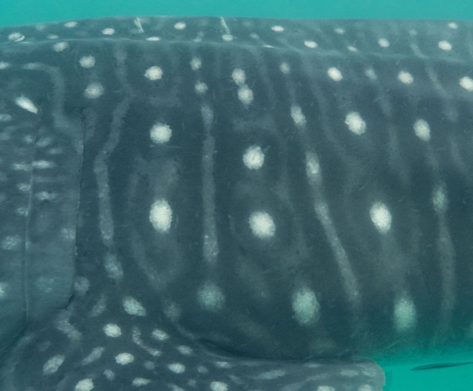 91dc0676-5d89-40a1-9578-a981c2b145ca