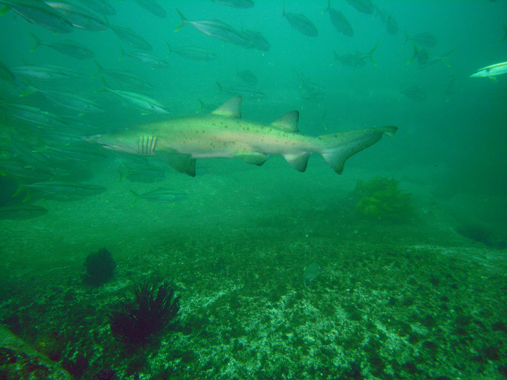 a6a07fad-c5a7-42d8-a6fe-2beb293a37c6