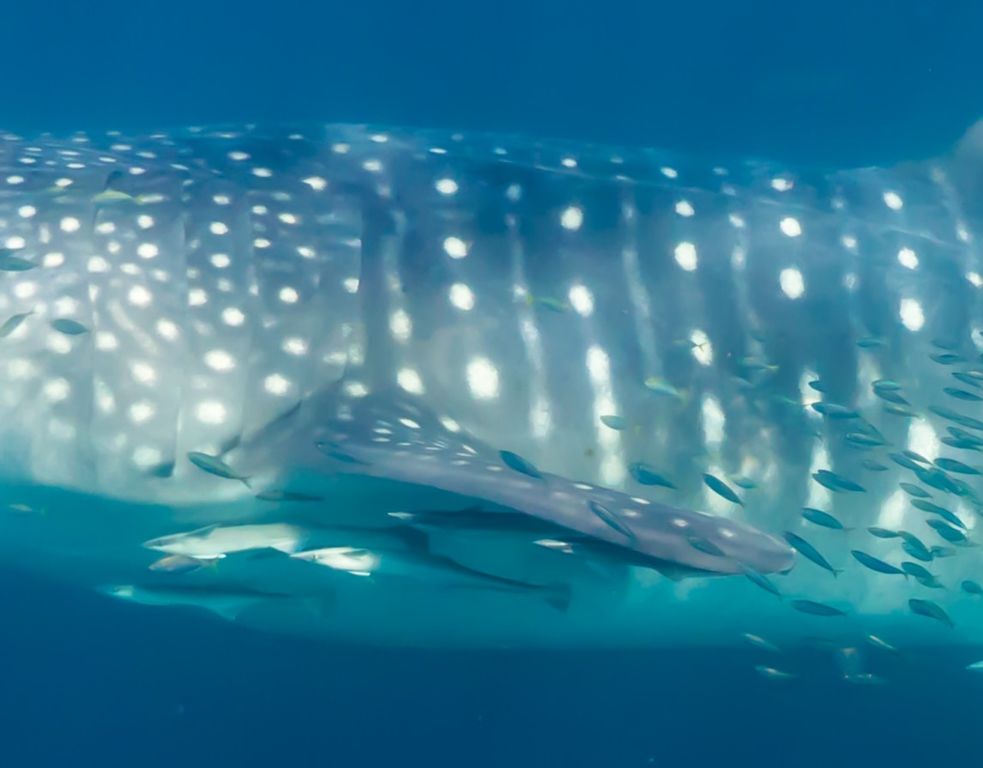 1d5edcb2-5597-4d09-a391-c80cf6bb1fb2