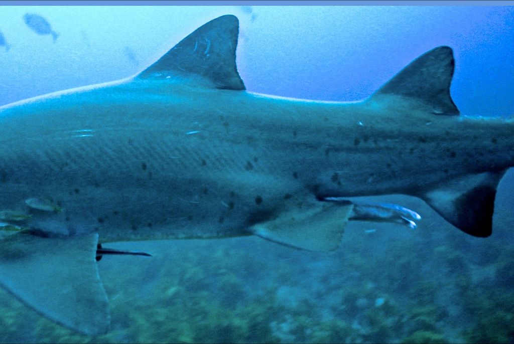 2f310075-9117-4652-ad4e-620313cdc8e5