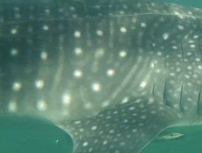 978b5347-4907-4a92-b83e-53733d693b89