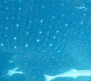 75200f0e-81e8-43bc-9599-4d8b65606197