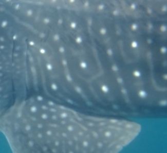 75200f0e-81e8-43bc-9599-4d8b65606197