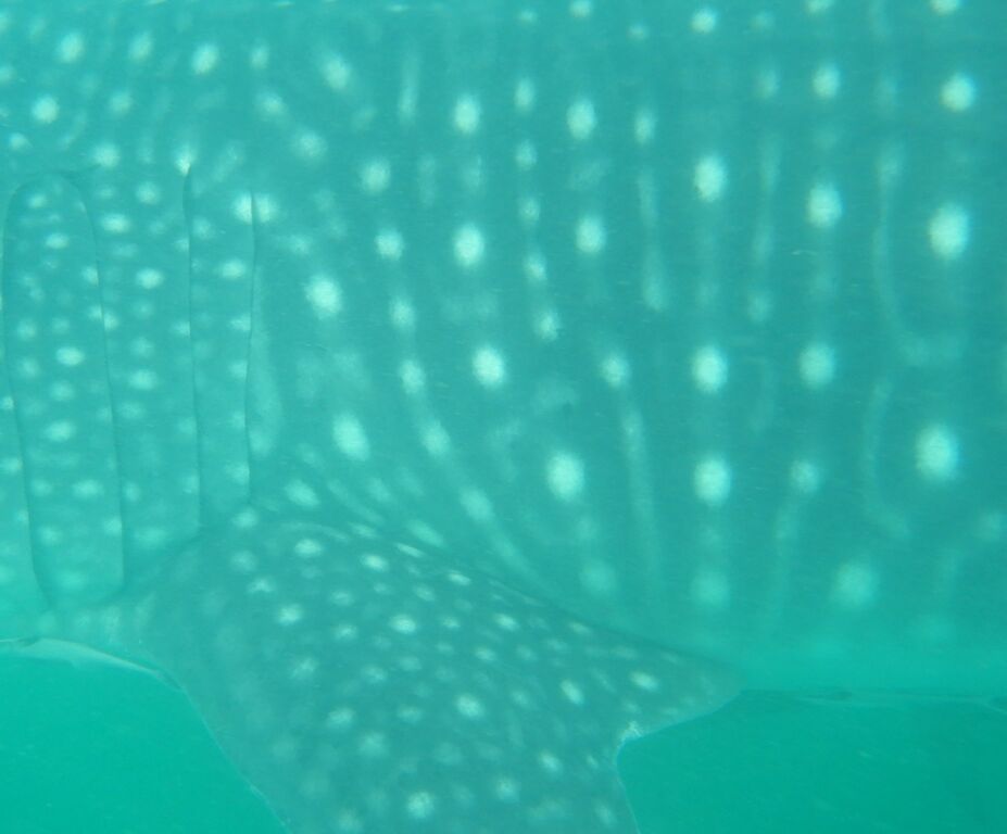 83e74877-ebec-44b6-b267-e2ccbdf69b93