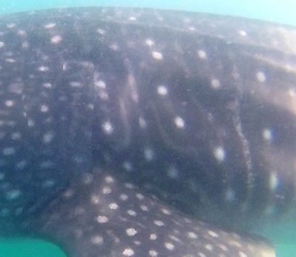 8a4a3661-2216-42a3-8bee-d106dc3cd47b