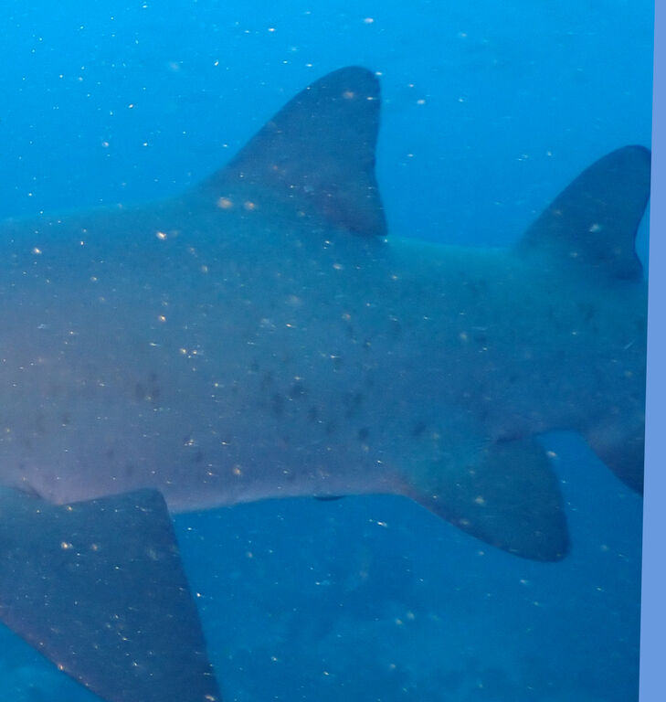 10309297-3987-4440-9515-556fbc377f13