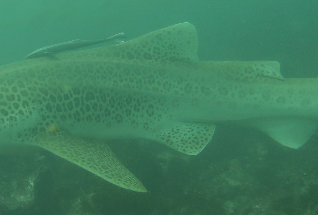 777a7713-60c1-4fc4-ba9d-95924db5a729