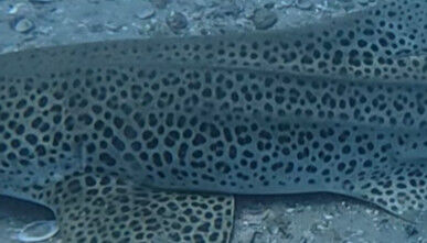 a8c0a623-ba24-474b-a92e-fce3210d4813