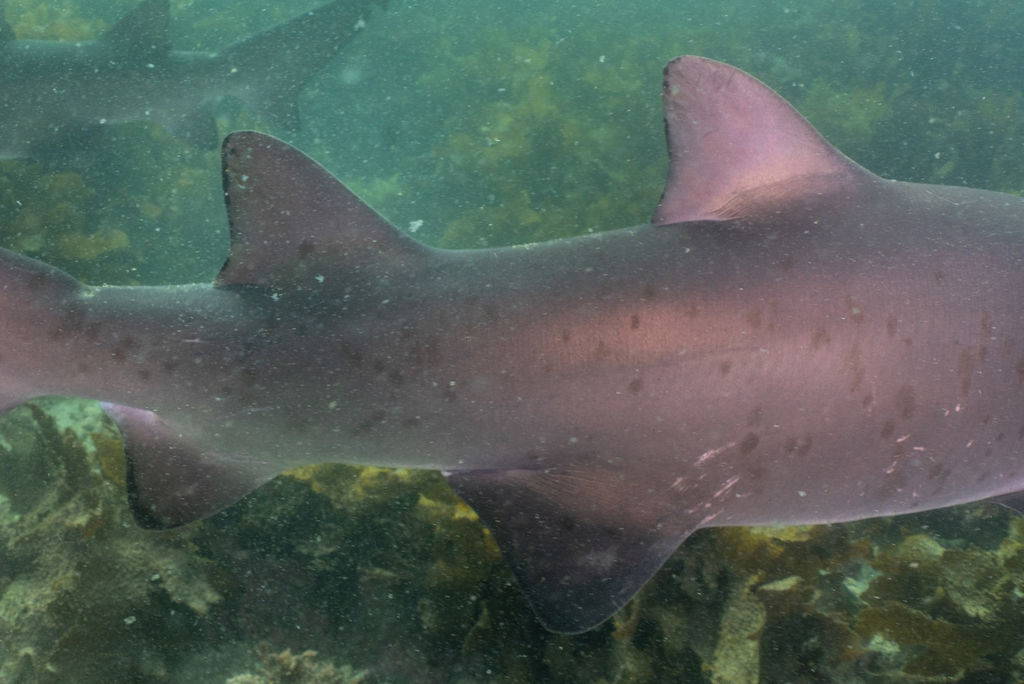 5199233c-9add-47e3-872d-fcdee874195c