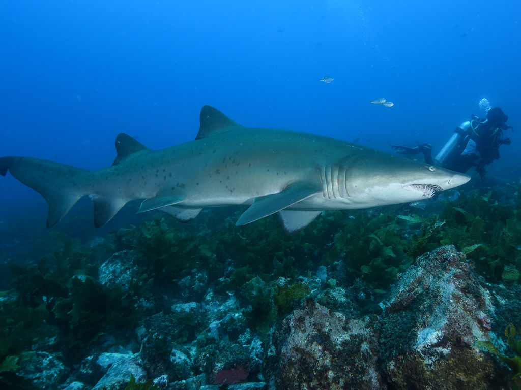 c7b89de9-7e1e-422c-b7bc-cbe65d0d819a