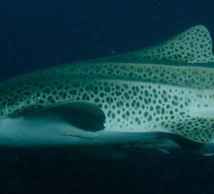 6f30a021-26b6-4dd3-b1a0-a2182fde6726