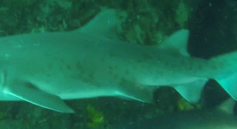 45a9f87b-291f-4d2d-a9c5-2c80aa43c9cb