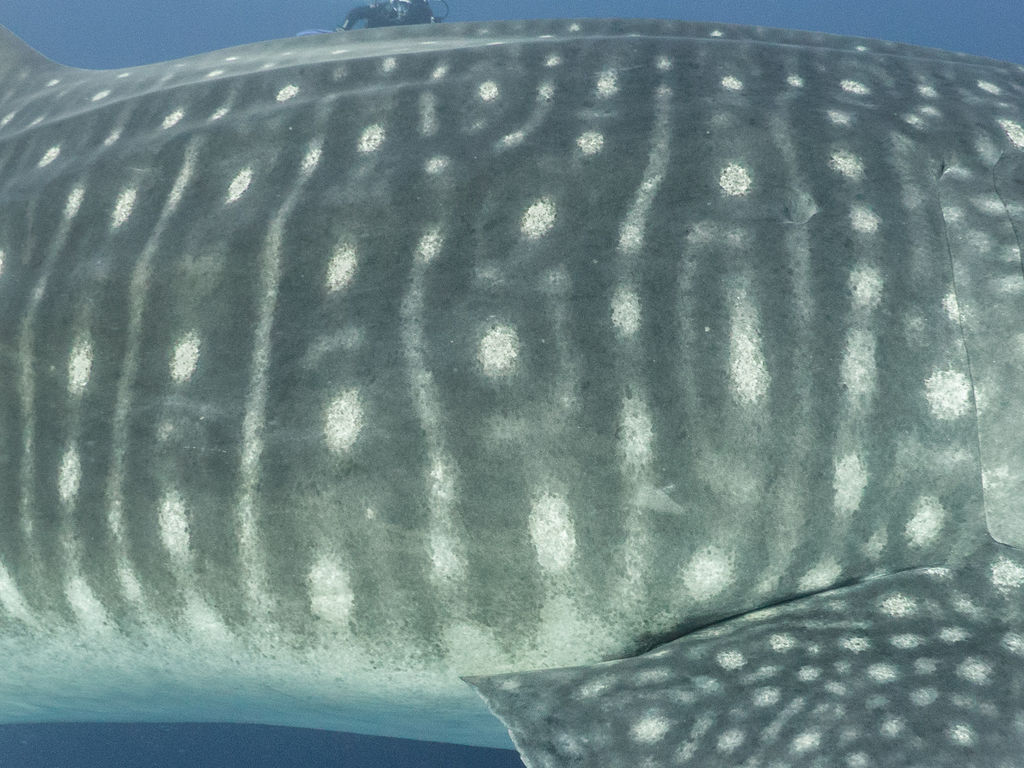 9edd9c7b-5e96-47c3-b9e8-d02e863c88f5