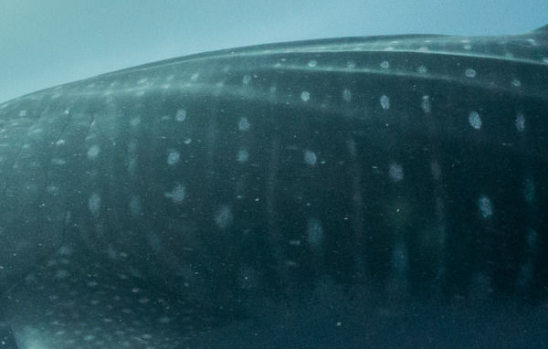 9edd9c7b-5e96-47c3-b9e8-d02e863c88f5