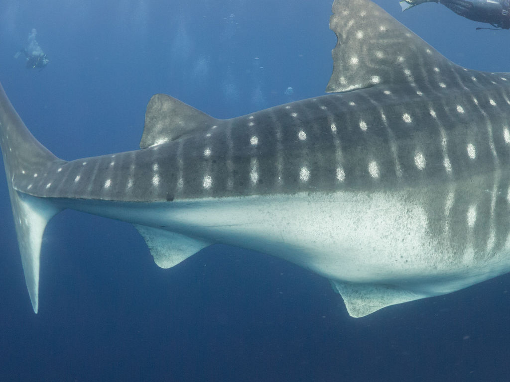 9edd9c7b-5e96-47c3-b9e8-d02e863c88f5