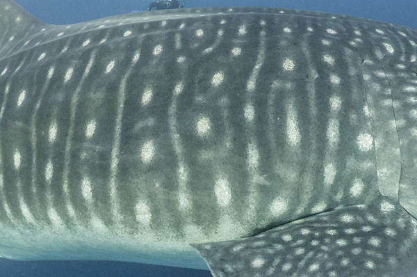 9edd9c7b-5e96-47c3-b9e8-d02e863c88f5