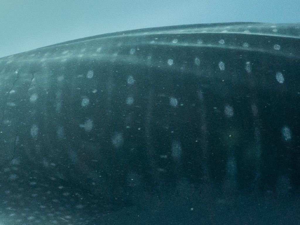 9edd9c7b-5e96-47c3-b9e8-d02e863c88f5