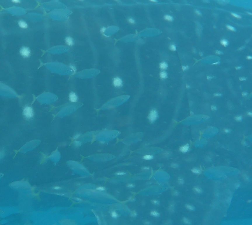 347647b2-22da-4610-8abc-a2b5840eccd0