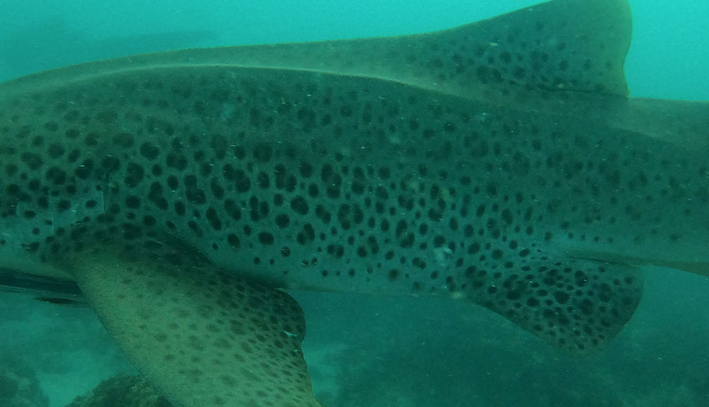 d1033600-38f9-42d9-8200-01b657eeba56