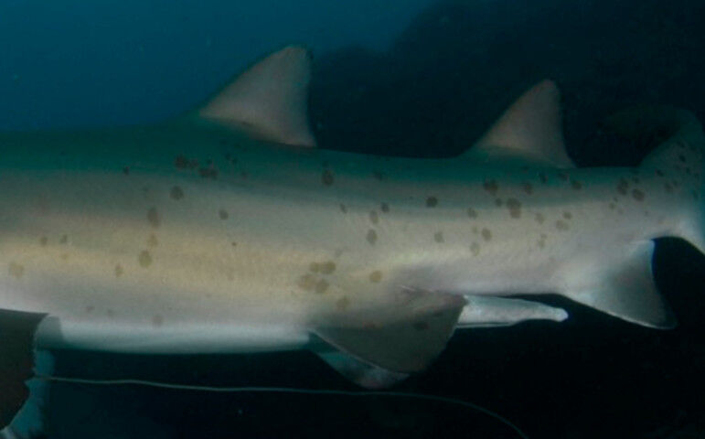 b5da7fec-5f63-400e-944a-7d2dd04e6845