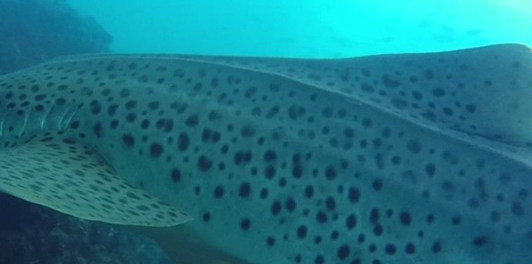 5b588ca3-a153-46fa-a98d-88bba62635ea