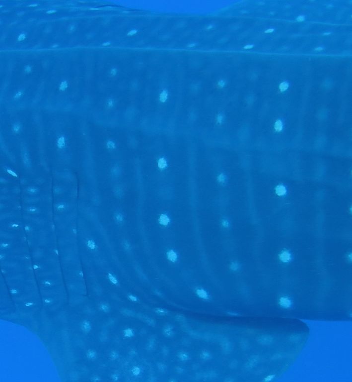 d2f0b738-b6f1-4380-b7f2-a3e566225255