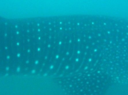 23259b2f-14a6-4aed-8ac9-367ddc4d5b95