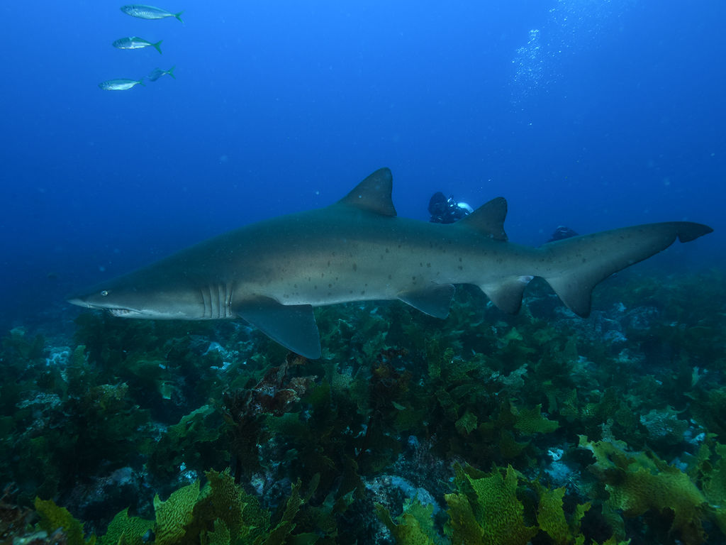 f2189993-56c1-4f57-8bbd-160928eb9928