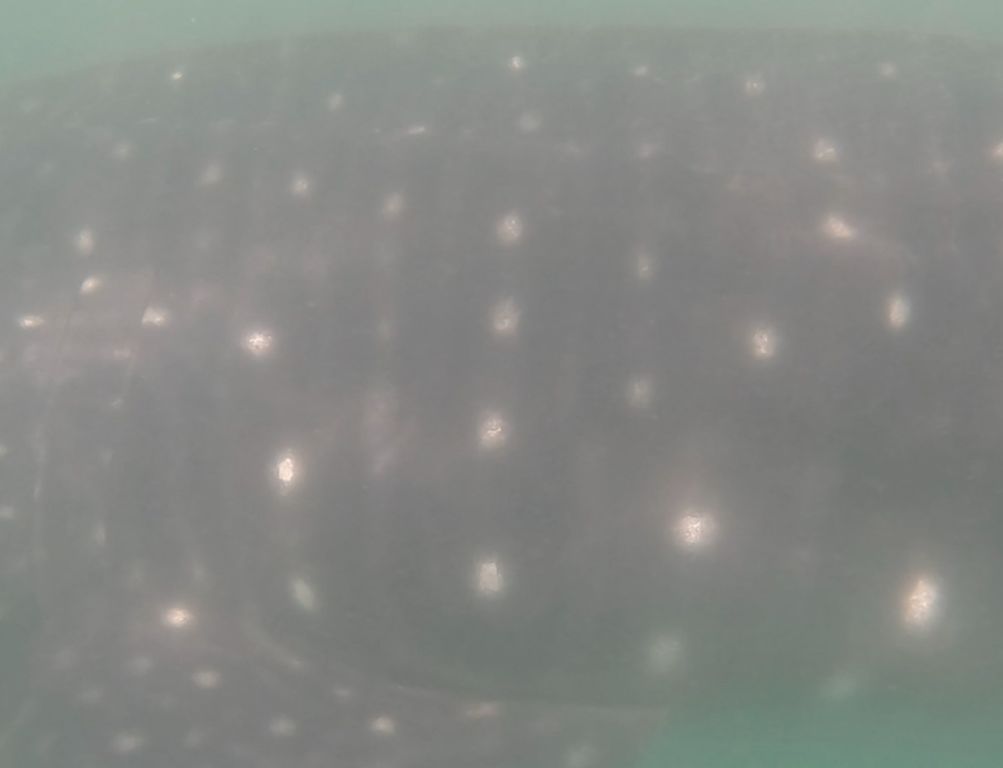 0bd62c40-b995-4120-99ad-15342ee298ac