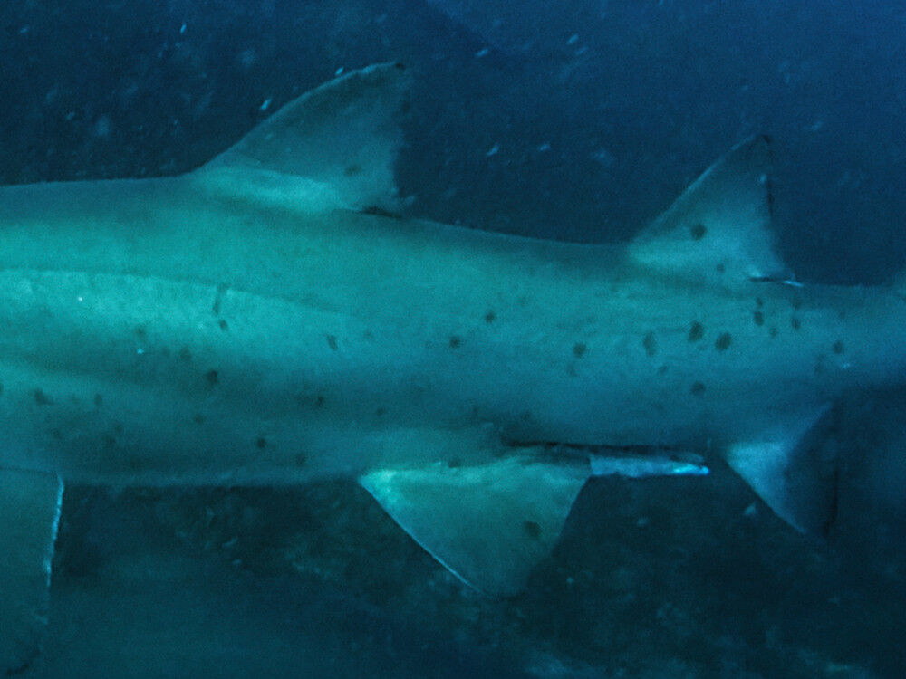 826e8897-5da7-4e91-8052-ad2d96e94836