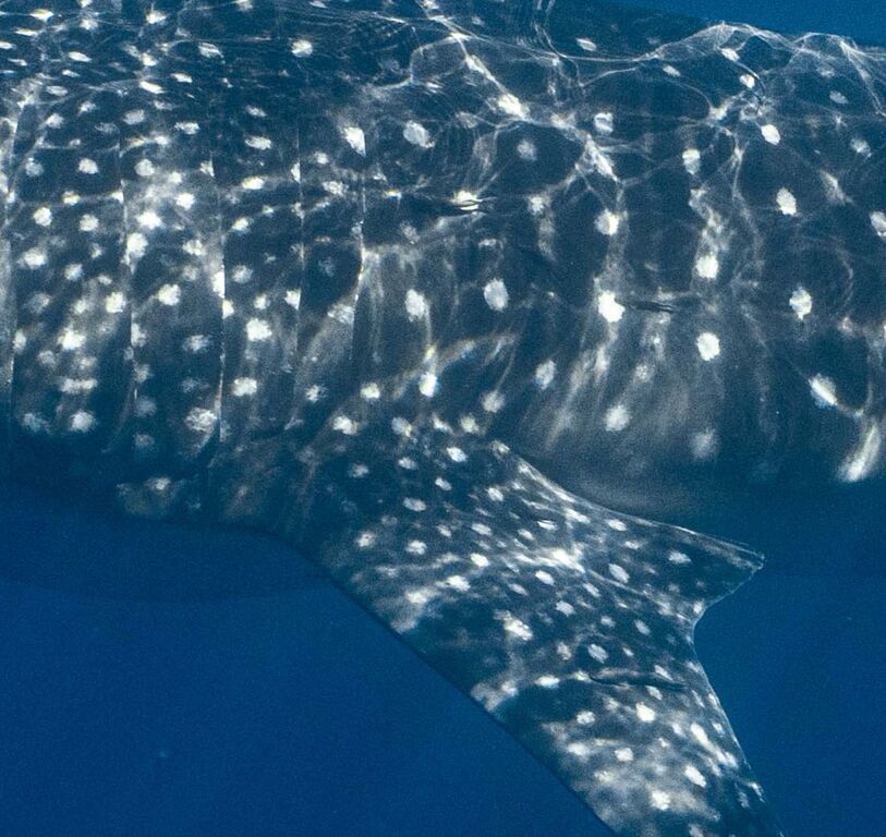 06f3d750-9243-4c33-85d6-e7a390c9c5c2