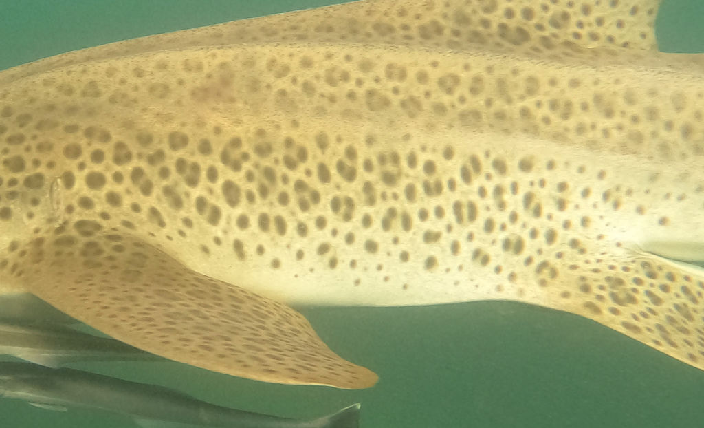 1f9b74a8-d0f8-42f2-a915-9fca84344d51