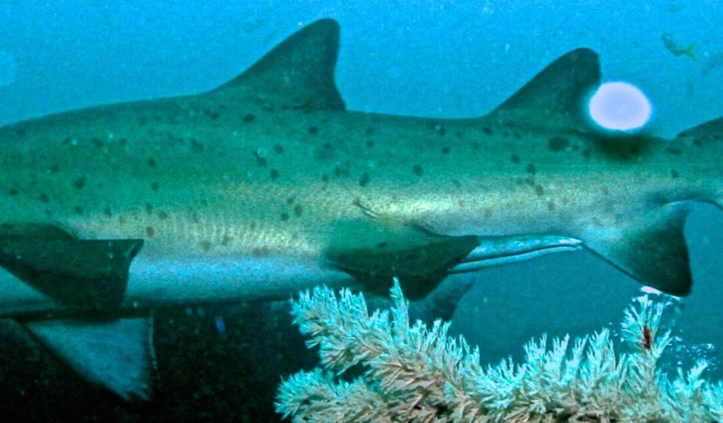 dec78d09-83b0-4bf6-b0eb-a6c5e5bf554b