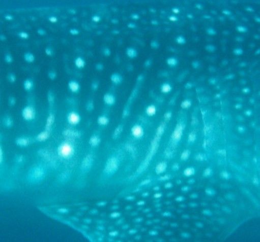 2369f1c5-a5be-4940-9baa-6ffcca7ca283