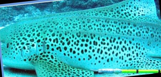 22648976-1a53-4992-9a4e-9c32cb435750