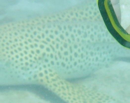 085a6f4b-d72c-45bb-87ba-ed1300a1ea95