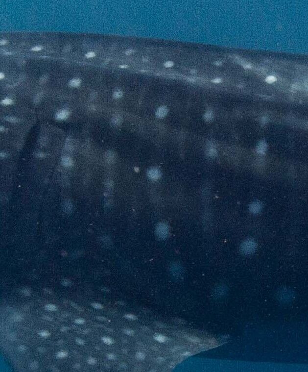 120176b1-ae4d-41d1-ad70-87ff7a4dfb56