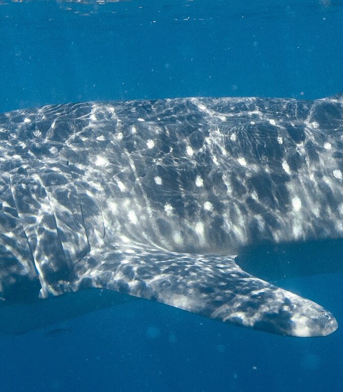 7be1872b-6723-4a02-8014-14e4a97ebd96