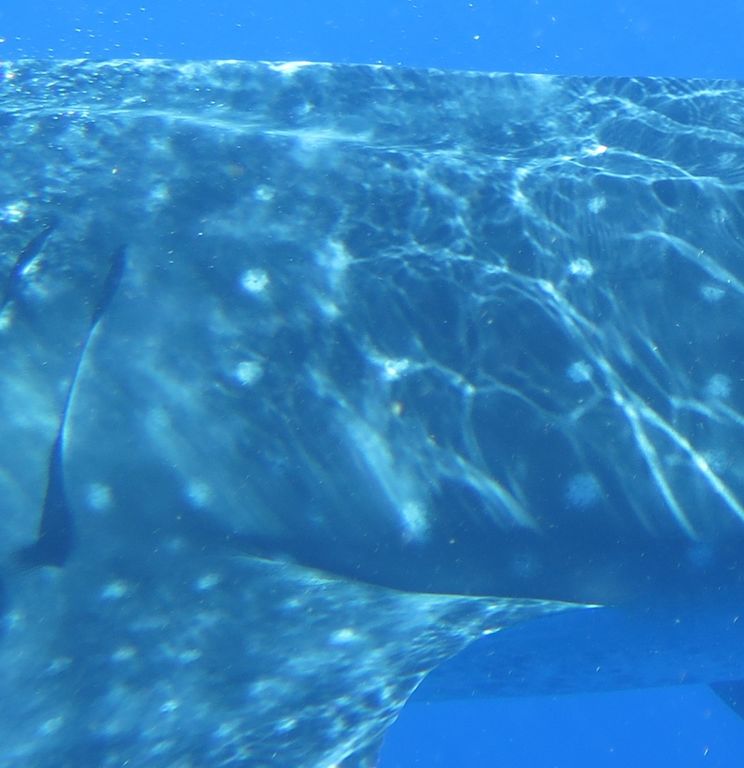 d6f0d295-4b06-4a12-87c3-e7bc1fbdc397